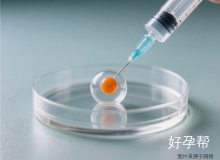 宫外孕后试管成功率解析：影响因素与提升方法全指南